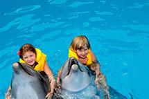 სტატიები 130